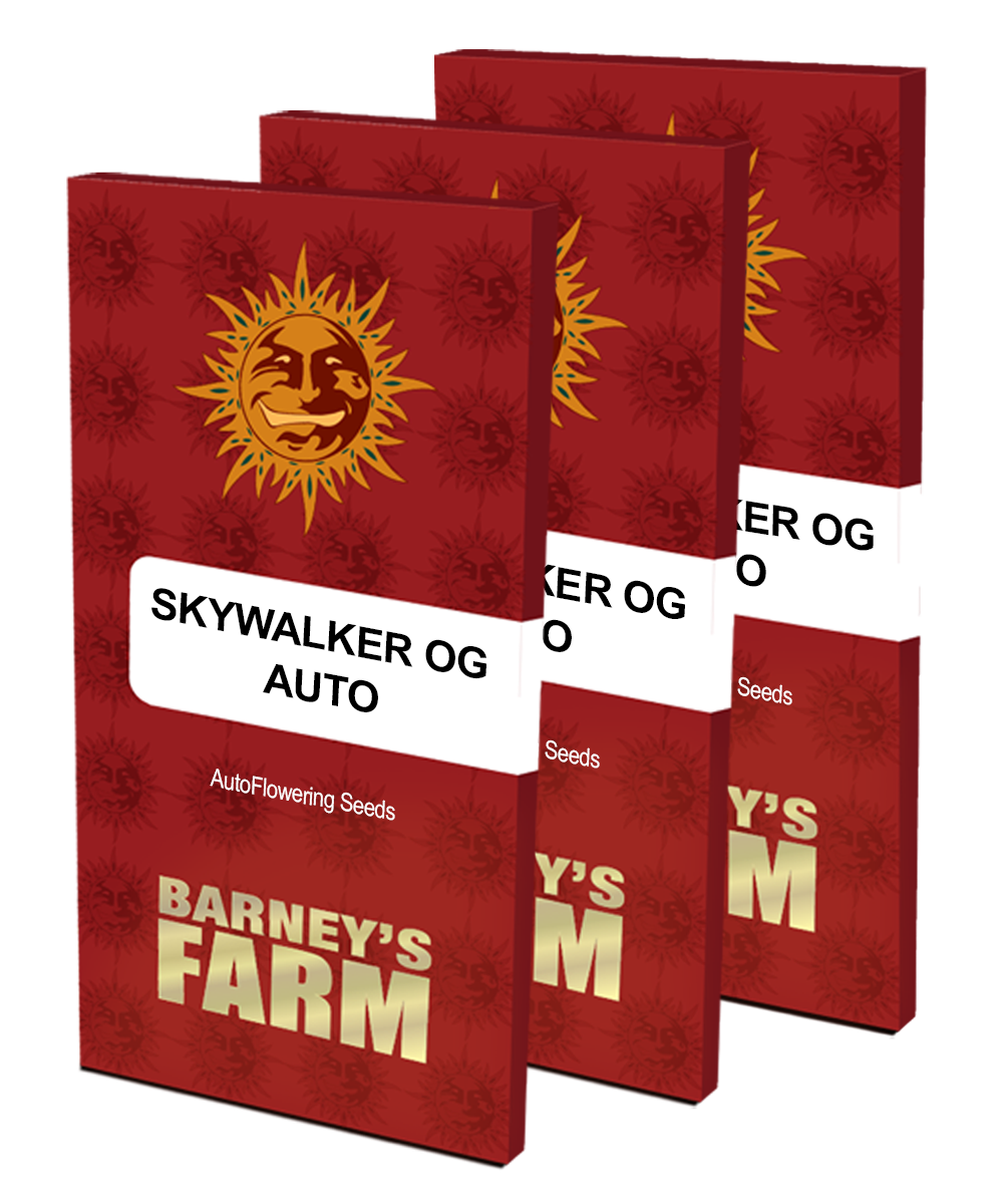 Barney's Farm - Skywalker OG Auto (auto/fem.)
