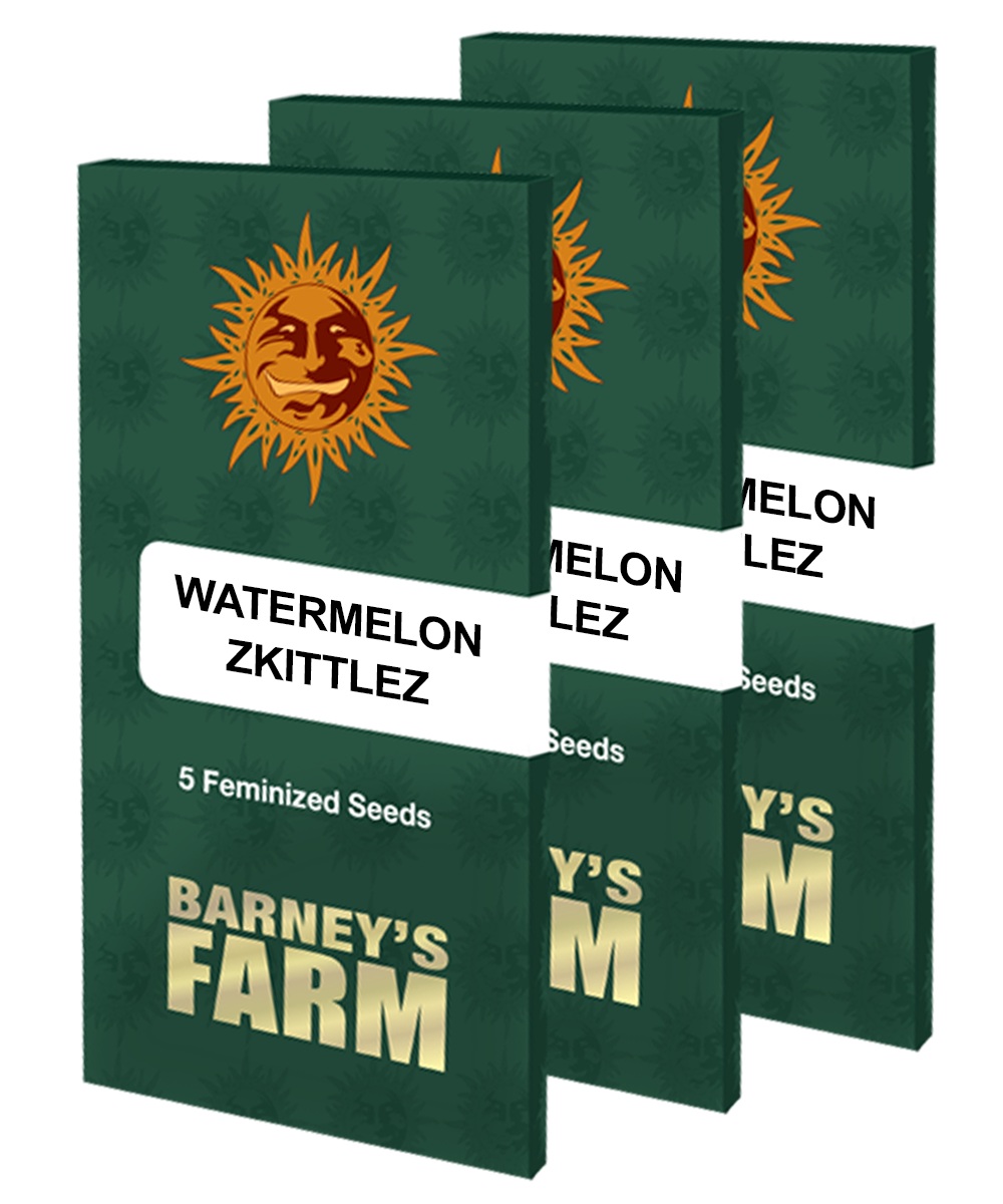 Barney's Farm - Watermelon Zkittlez (fem.)