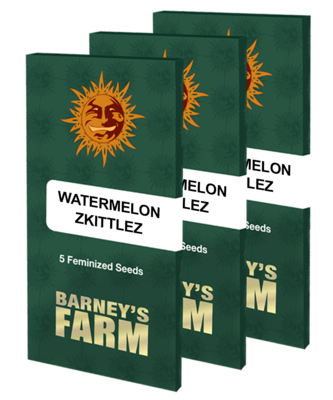 Barney's Farm - Watermelon Zkittlez aka Watermelon Z (fem.) 07469