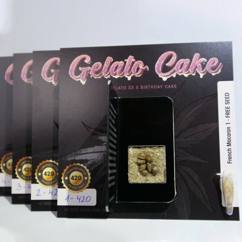 T.H. Seeds - Gelato Cake (fem.)