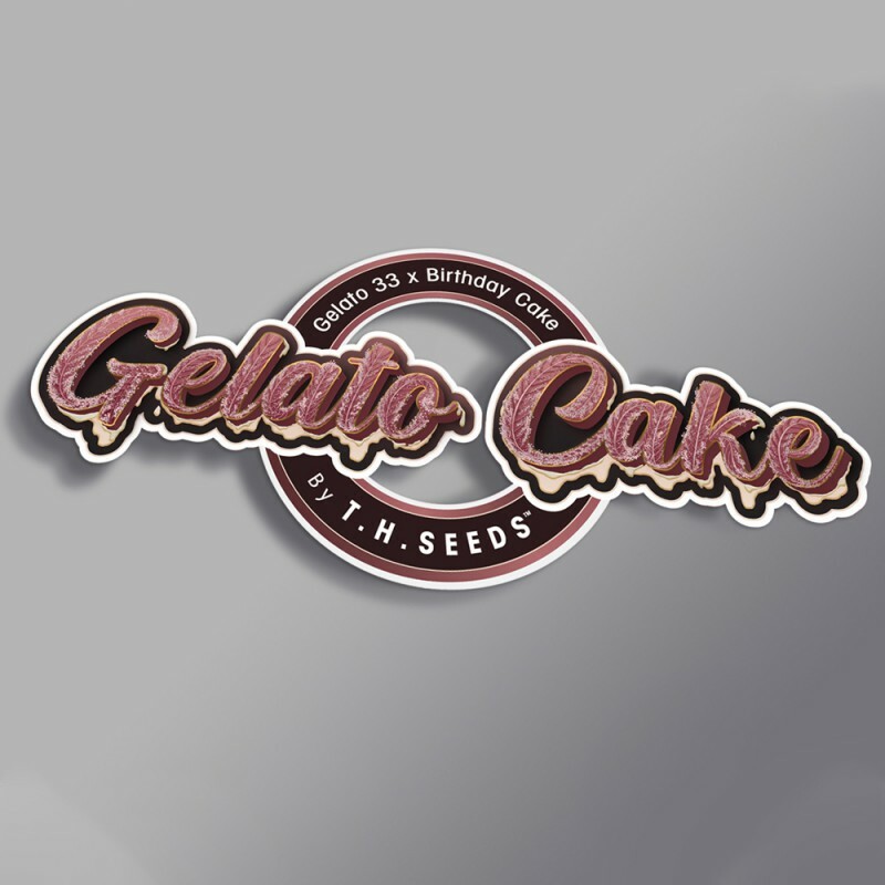 T.H. Seeds - Gelato Cake (fem.)