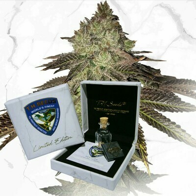 T.H. Seeds - Gelato 33 X Birthday Cake (reg.) 07482