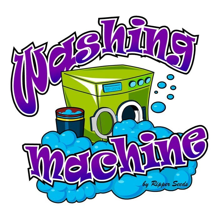 Ripper Seeds - Washing Machine (fem.)