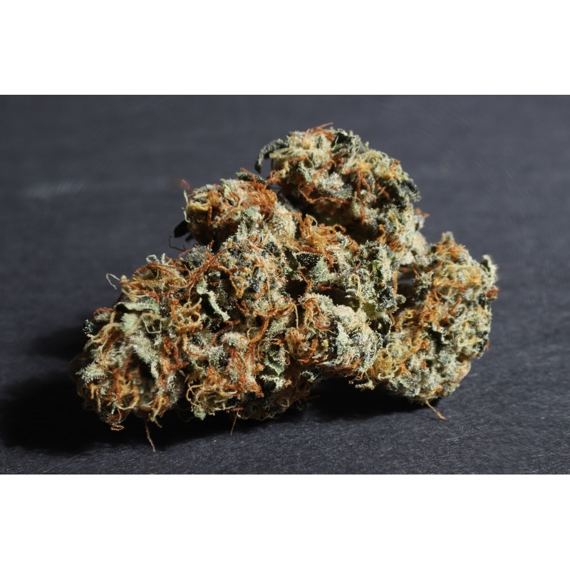 Super Sativa Seed Club - Lava Freeze (fem.)