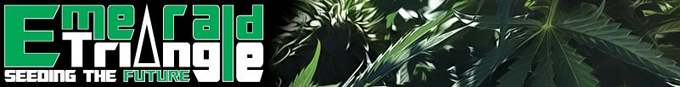 Emerald Triangle Seeds - Trinity Kush (fem.)
