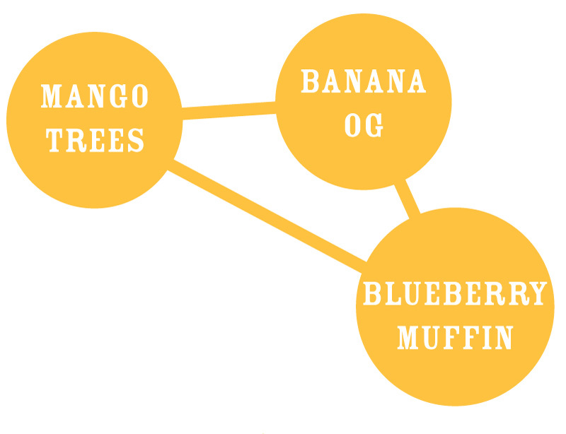 Humboldt Seed Company - Banana Mango (fem.)
