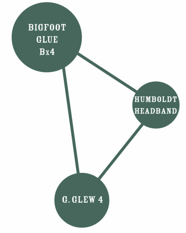 Humboldt Seed Company - Bigfoot Glue (fem.)