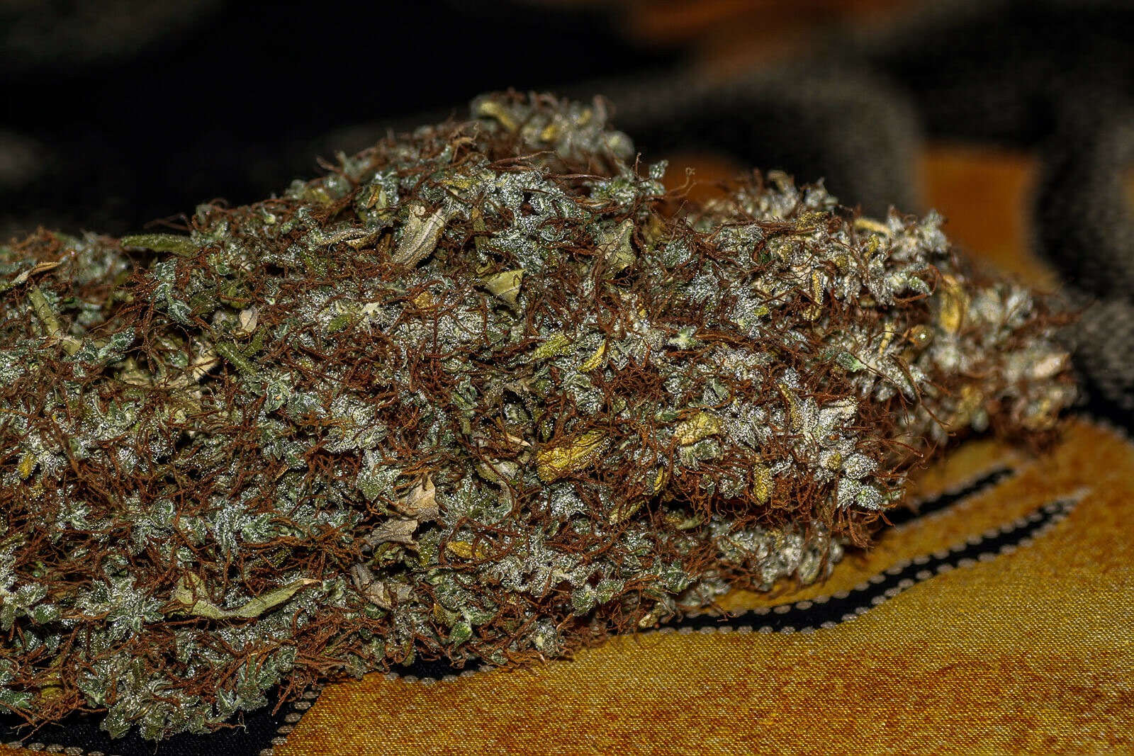 Seedsman - White Widow (fem.)