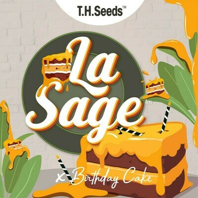 T.H. Seeds - La S.A.G.E. X Birthday Cake X Strawbanana Cream (reg.) 07537