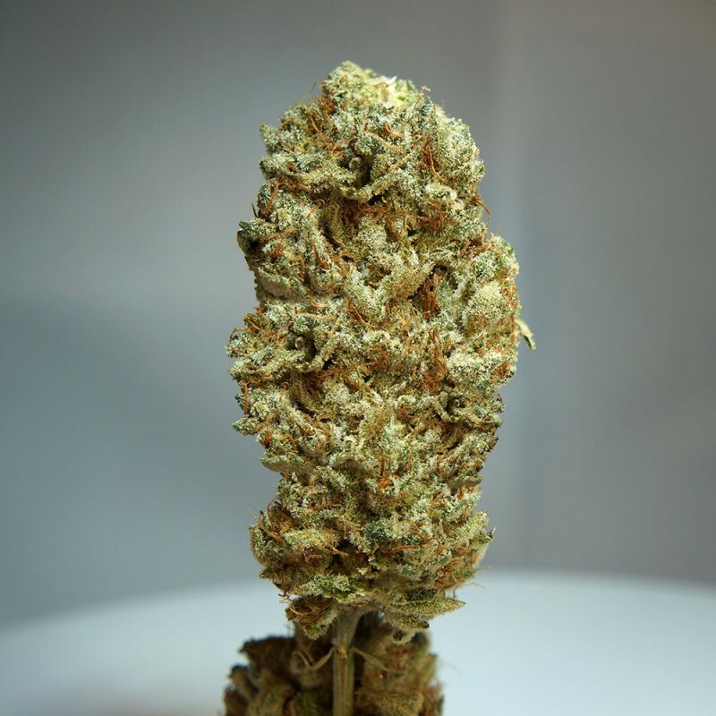 T.H. Seeds - Strawberry Glue (fem.)