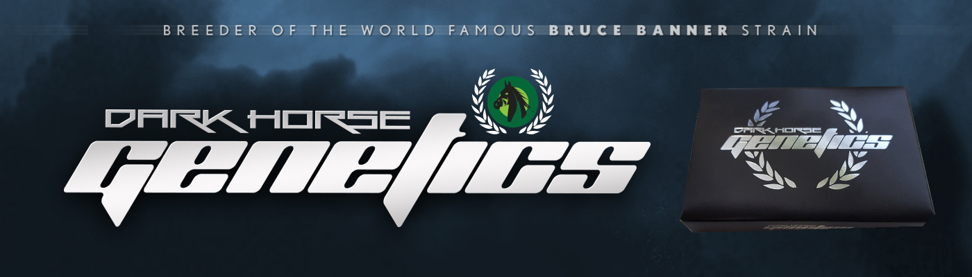 Dark Horse Genetics - Original Bruce Banner F2 (reg.)