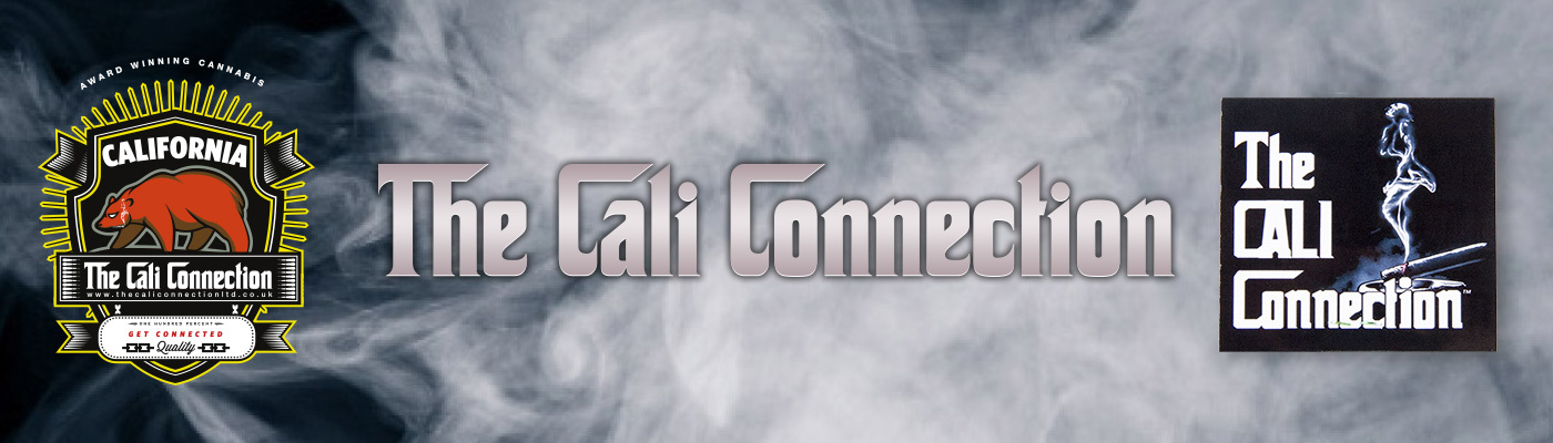 The Cali Connection - LA Cookies (fem.) 🇺🇸