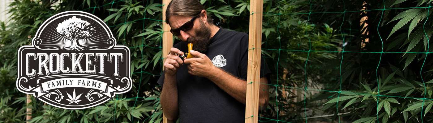 Crockett Family Farms - Cherry 18 (fem.)