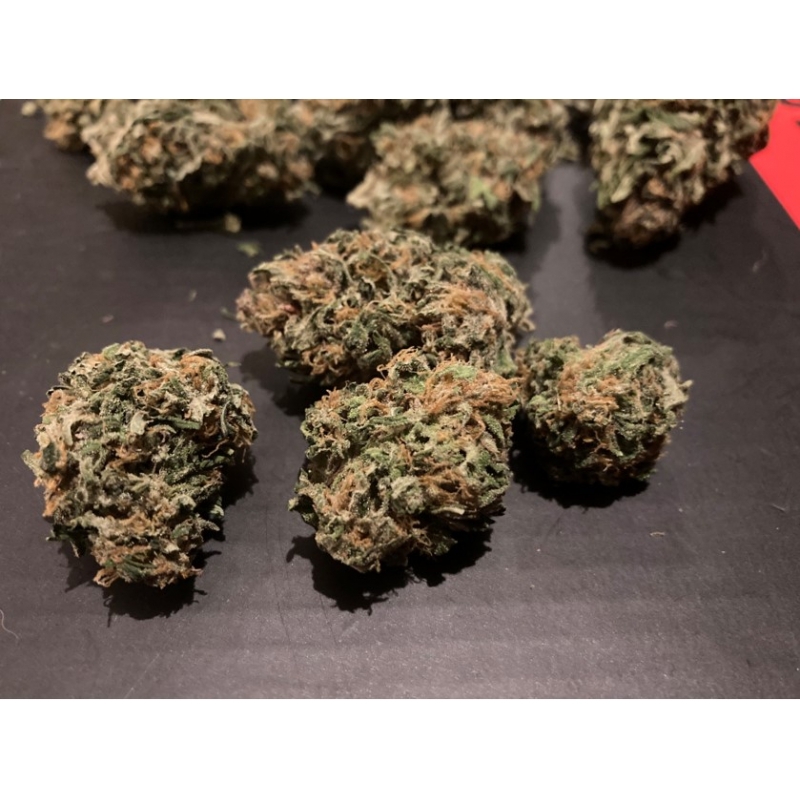 Super Sativa Seed Club - Auto Creeper (auto/fem.)