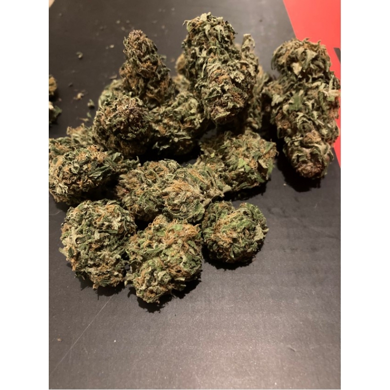 Super Sativa Seed Club - Auto Creeper (auto/fem.)