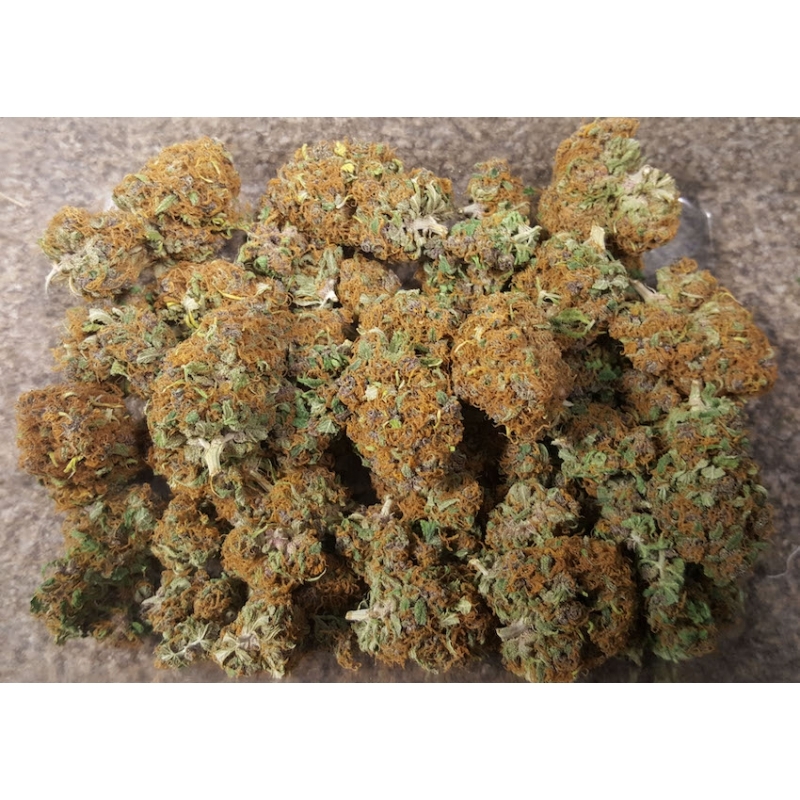 Super Sativa Seed Club - Pineapple Poison (fem.)