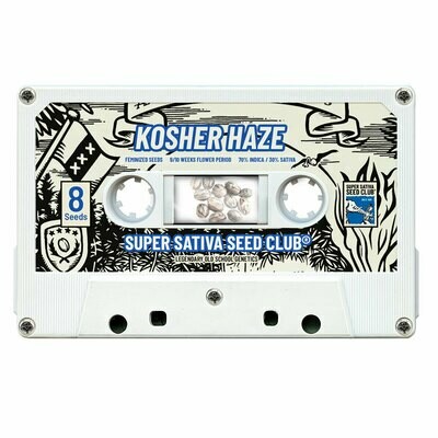 Super Sativa Seed Club - Kosher Haze (reg.) 09424