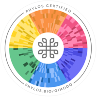 Ace Seeds - Zamaldelica (fem.)