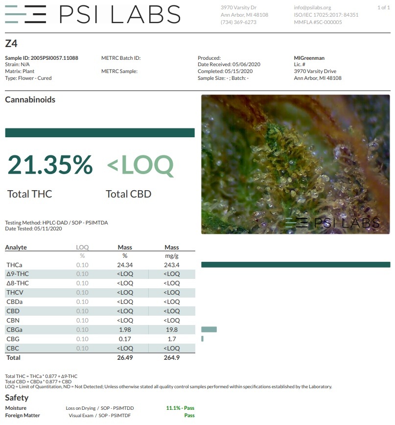 Ace Seeds - Zamaldelica (fem.)