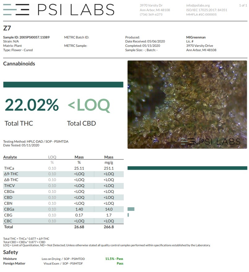 Ace Seeds - Zamaldelica (reg.)