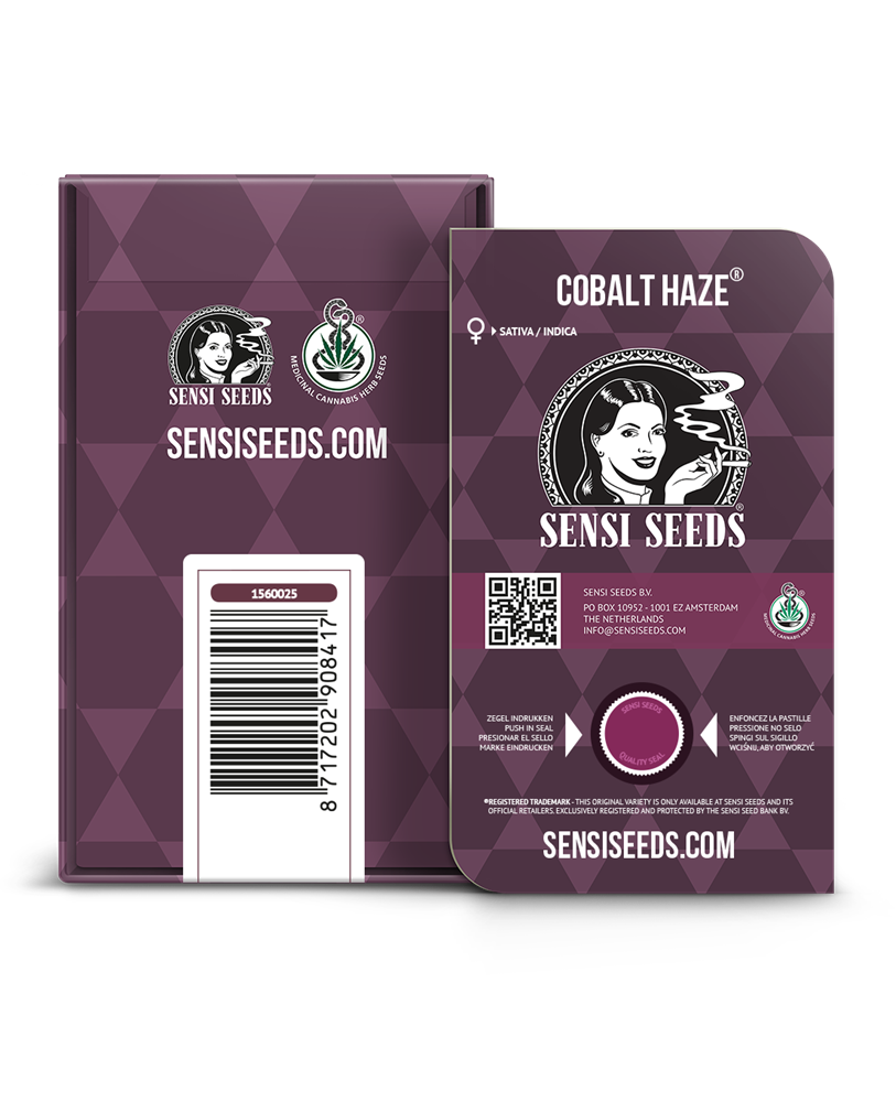 Sensi Seeds - Cobalt Haze (fem.)