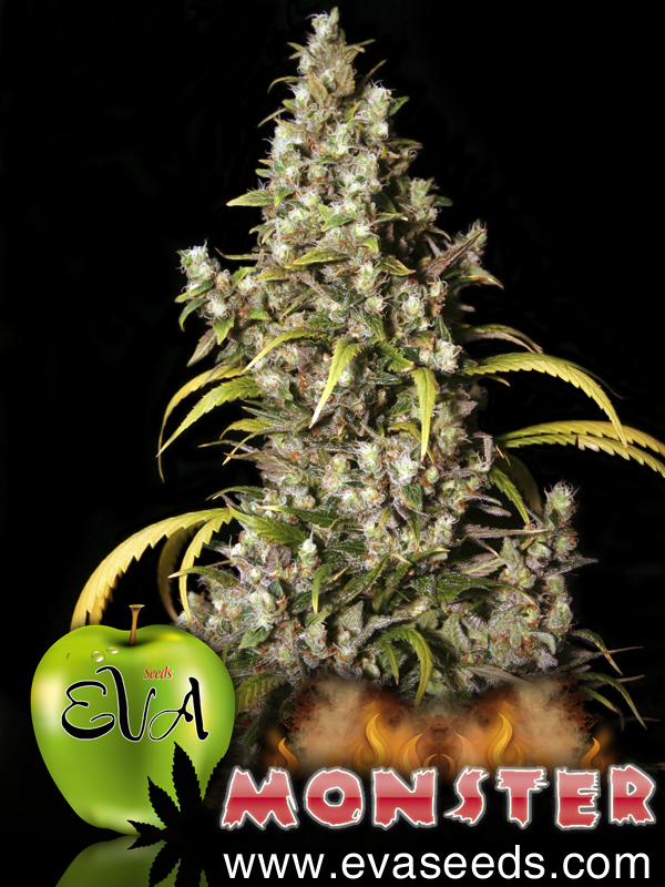 Eva Seeds - Monster (fem.)