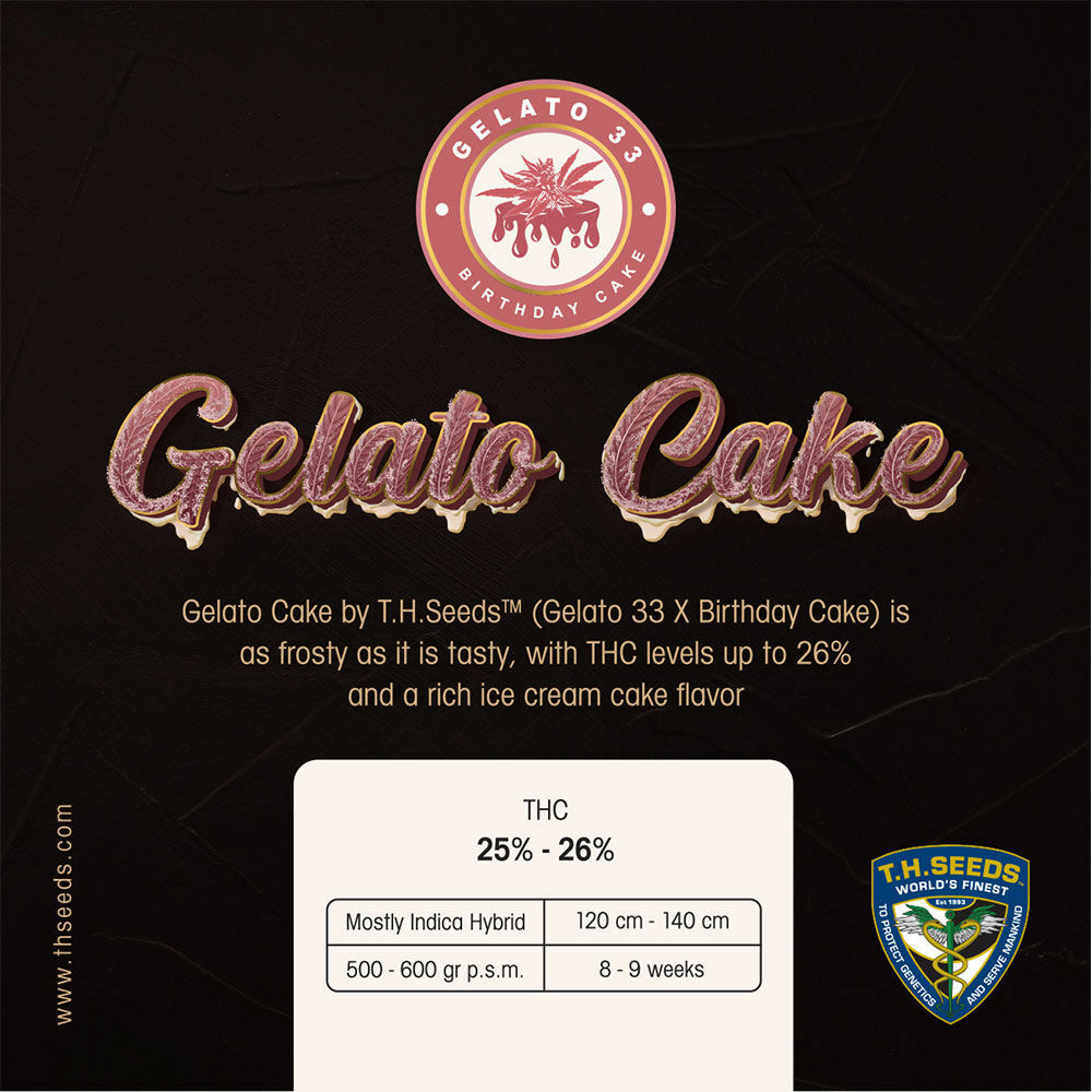 T.H. Seeds - Gelato Cake (fem.)