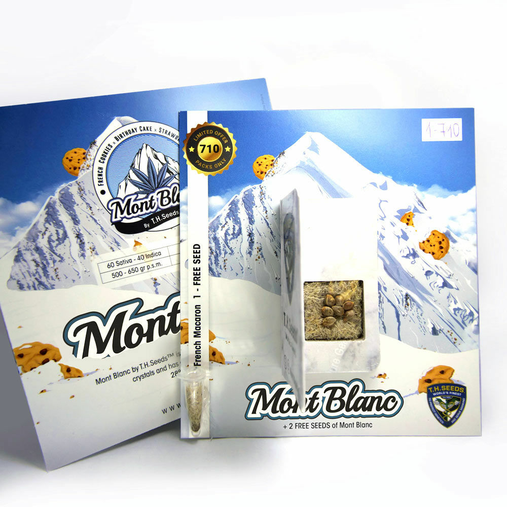 T.H. Seeds - Mont Blanc (fem.)