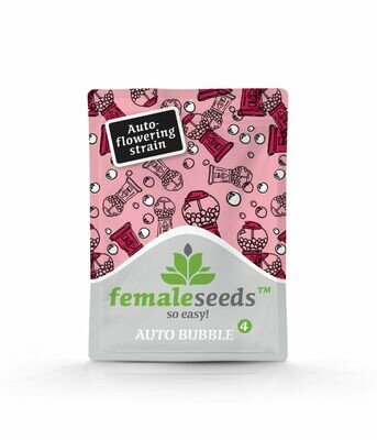 Female Seeds - Auto Bubble (auto/fem.) 01516