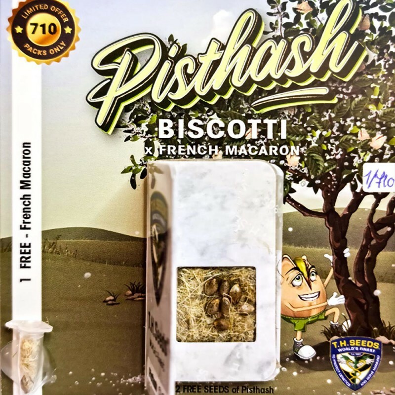 T.H. Seeds - Pisthash (fem.)