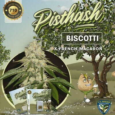 T.H. Seeds - Pisthash (fem.) 07708
