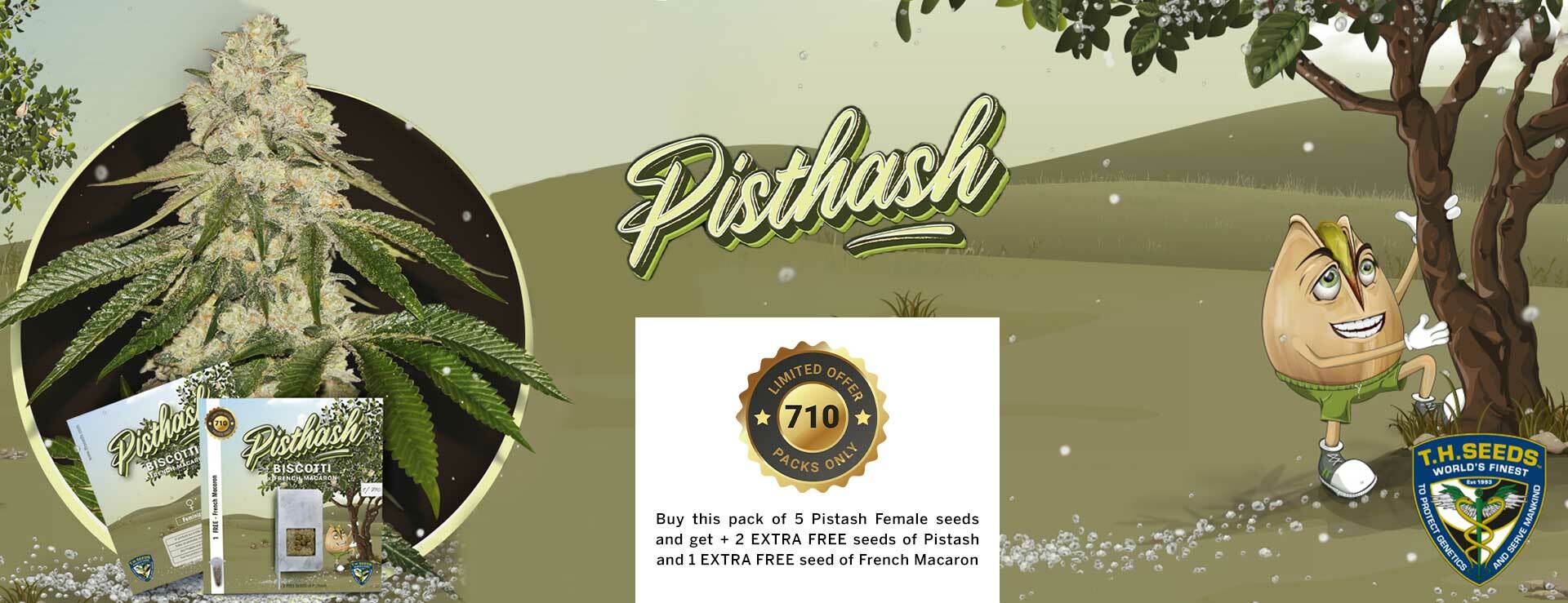 T.H. Seeds - Pisthash (fem.)