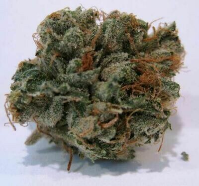 BC Bud Depot - 707 Headband (reg.) 07728