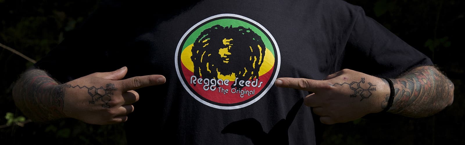 Reggae Seeds - Blackdance (fem.)