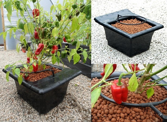 Система гидропоники Flo-Gro 500 (базовый комплект)