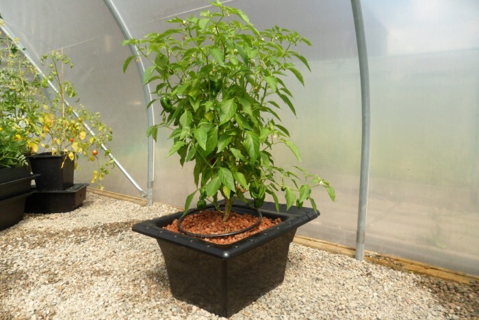 Система гидропоники Flo-Gro 500 (базовый комплект)
