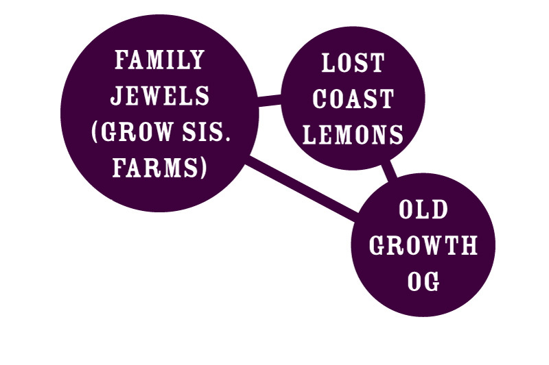 Humboldt Seed Company - Family Jewels (fem.)