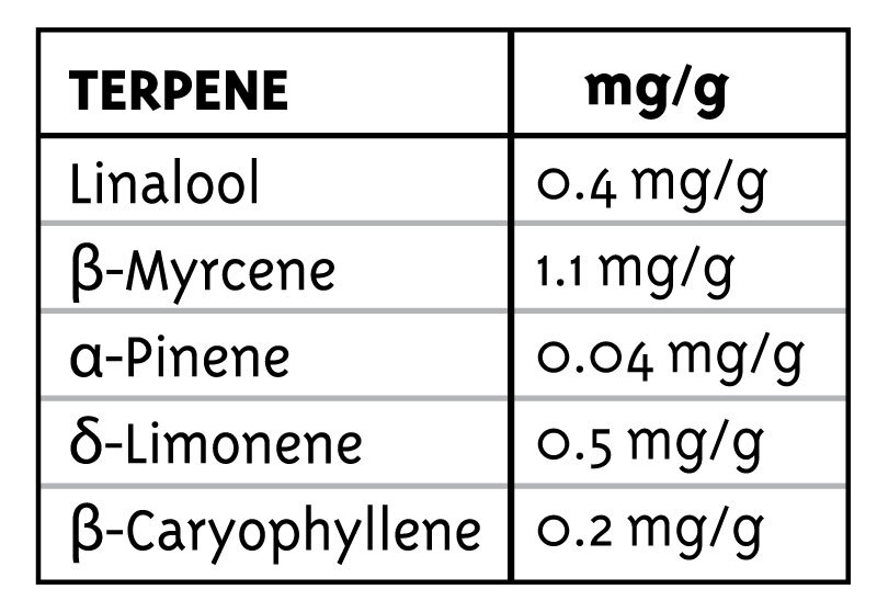Humboldt Seed Company - Emerald Fire OG (reg.) 🇺🇸