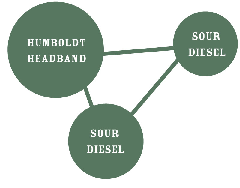 Humboldt Seed Company - Humboldt Sour Diesel (fem.)