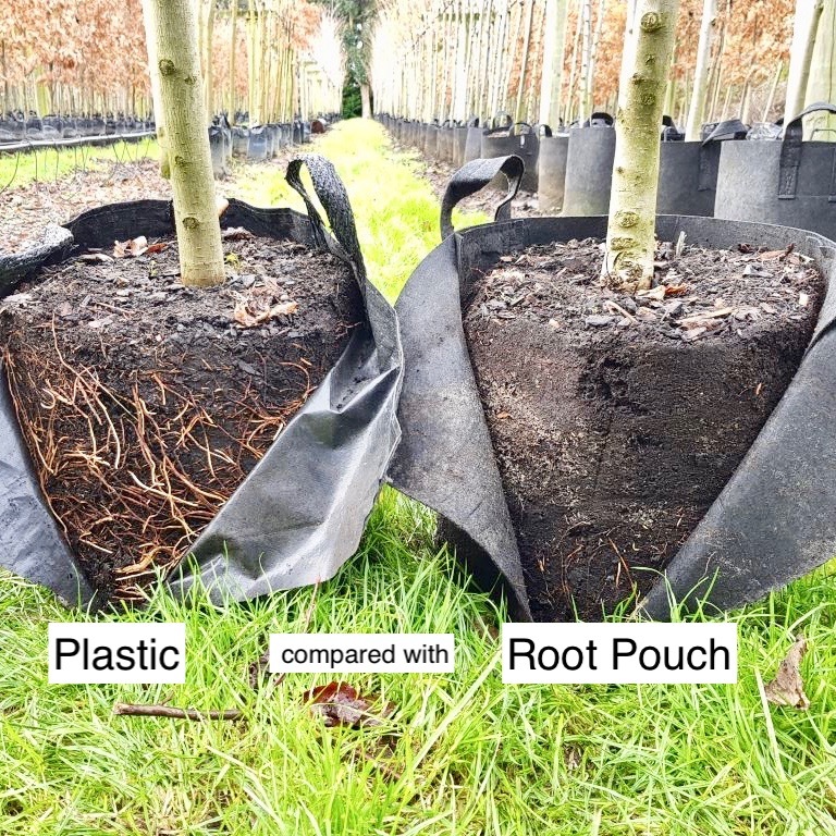 Дышащие горшки Root pouch Black для долгого выращивания растений