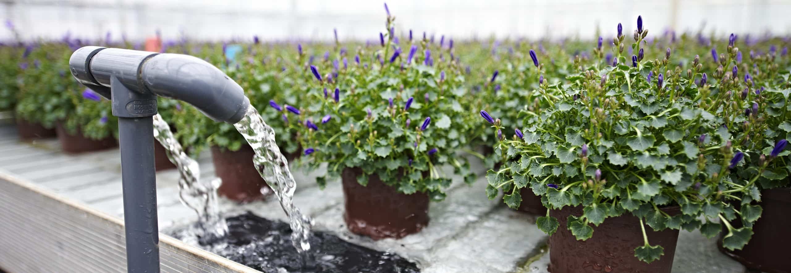 Лотки для выращивания растений Stal & Plast (поверхность для стола) Лотки для выращивания растений Stal & Plast (поверхность для стола)