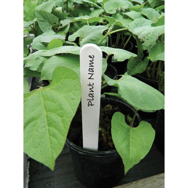 White Plant Labels - белые этикетки для обозначения сорта растения