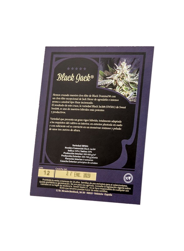 Sweet Seeds - Black Jack (fem.)
