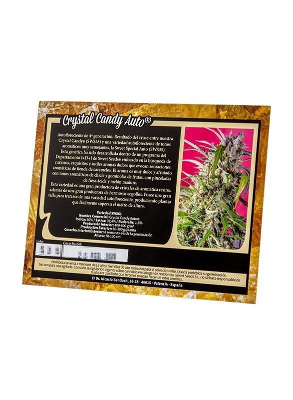 Sweet Seeds - Crystal Candy Auto (auto/fem.)