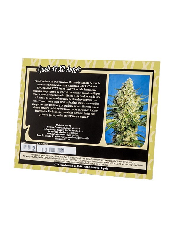 Sweet Seeds - Jack 47 XL Auto (auto/fem.)