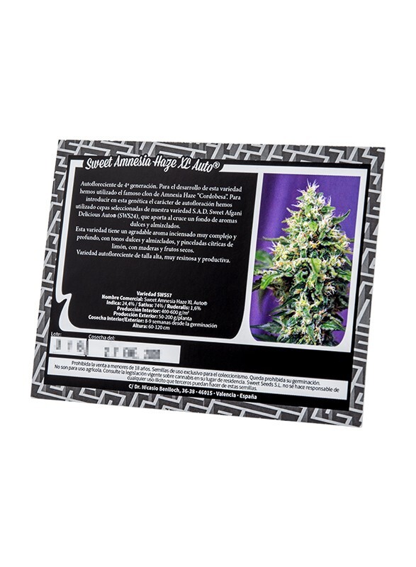 Sweet Seeds - Sweet Amnesia Haze XL Auto (auto/fem.)