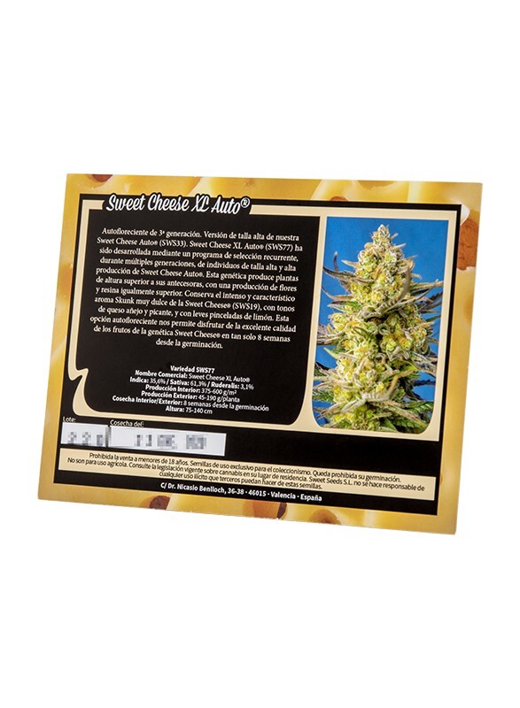 Sweet Seeds - Sweet Cheese XL Auto (auto/fem.)