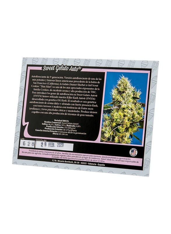 Sweet Seeds - Sweet Gelato Auto (auto/fem.)