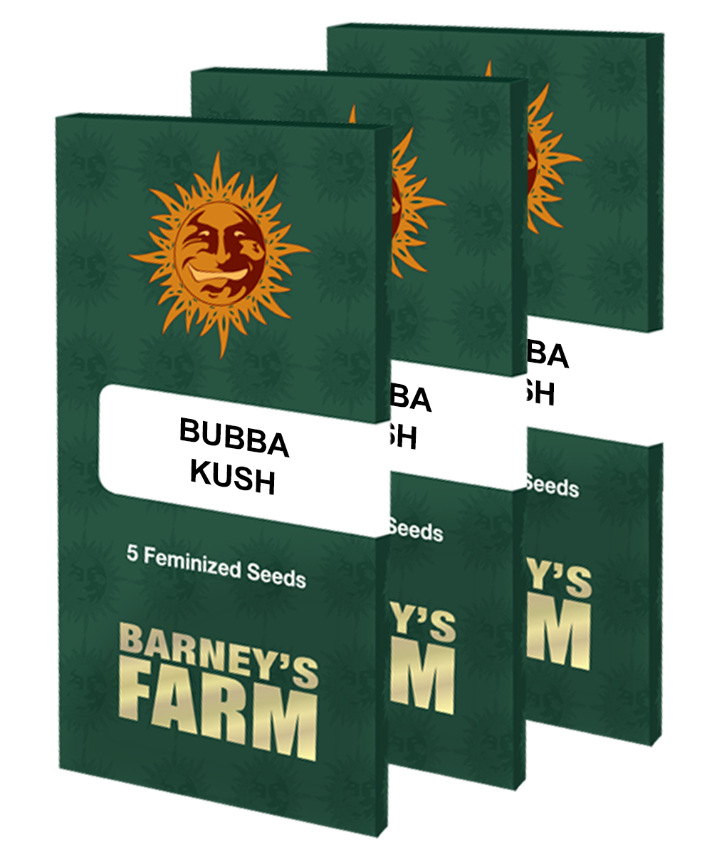 Barney's Farm - Bubba Kush (fem.)