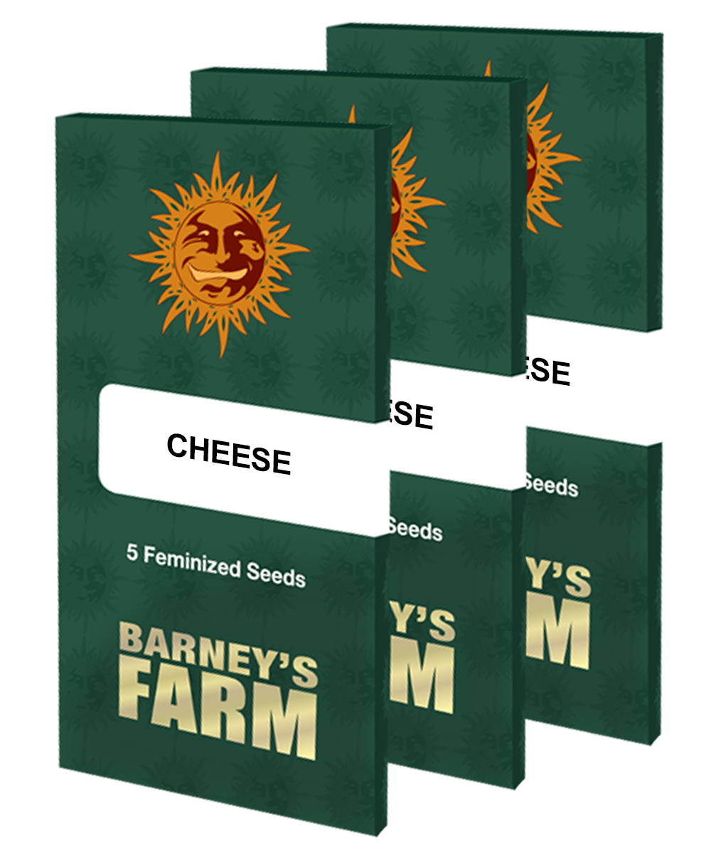 Barney's Farm - Cheese (fem.)